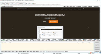 慈众营销软件开发系统官方版9.0下载与信息技术咨询服务指南