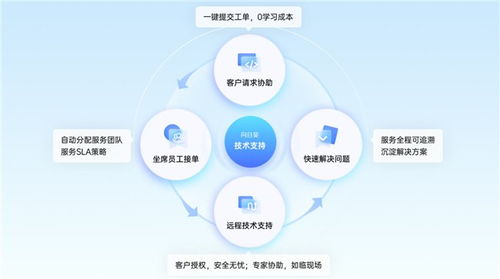 信息技术咨询服务赋能 教育行业如何通过“向日葵”应对远程售后服务挑战——以天学网为例