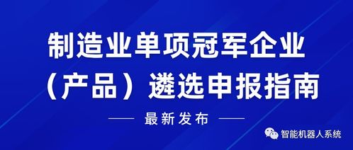 2024年度国家及广东深圳制造业单项冠军企业（产品）遴选申报指南 信息技术咨询服务专项